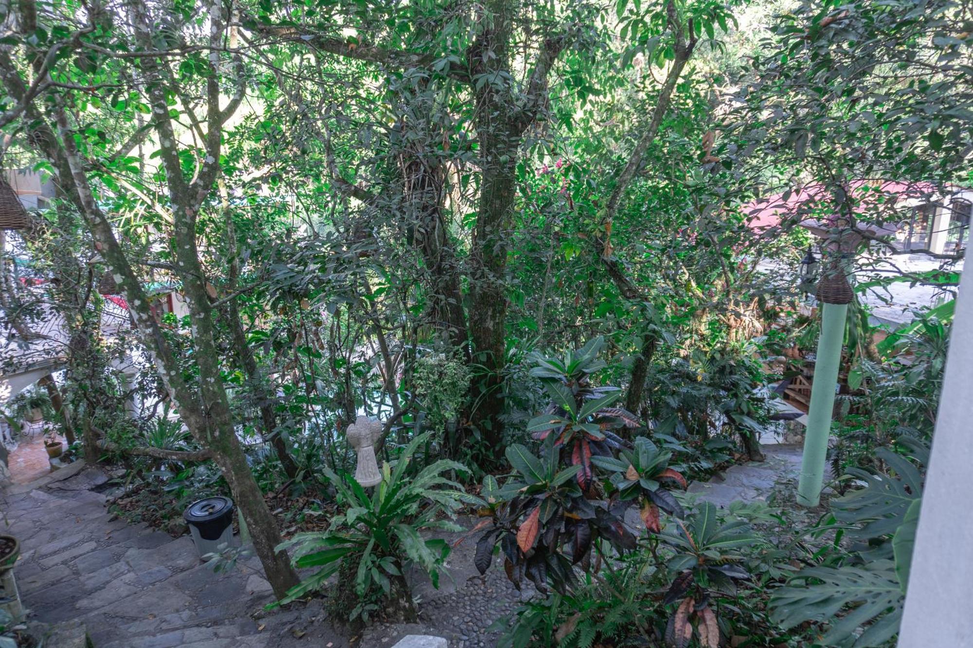 Hotel Paraiso Encantado Xilitla Exteriör bild